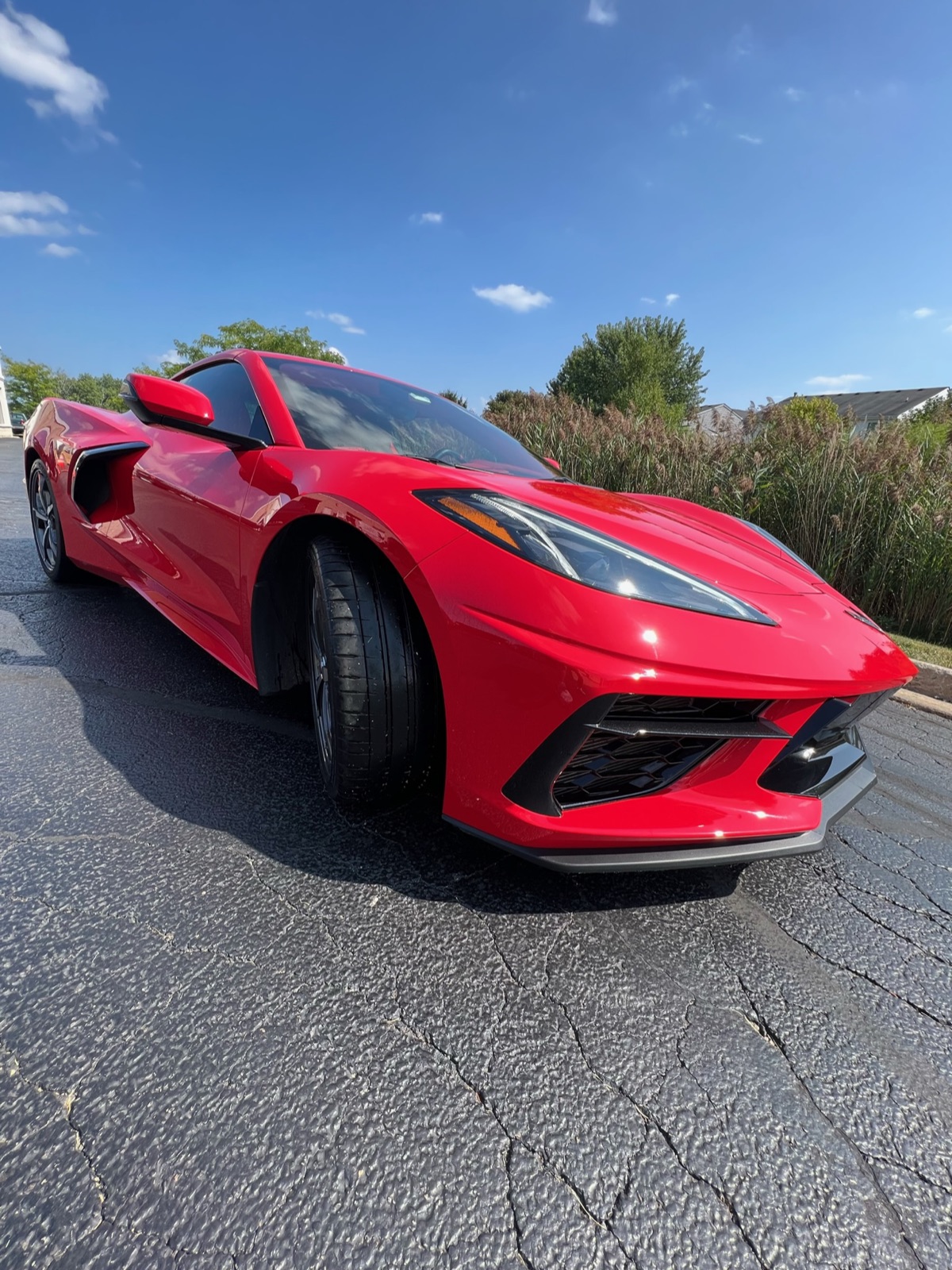 Red C8 Corvette front quarter after detail
